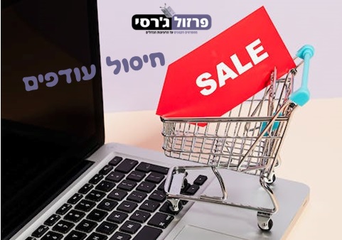 חיסול עודפי מלאי ותצוגות