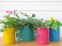 עציצים ואדניות